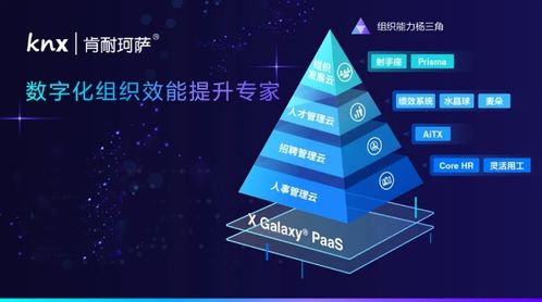 宇培集團攜手肯耐珂薩，共創人力資源數字化時代